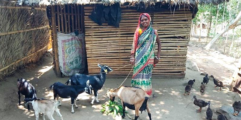 झारखंड में मुख्यमंत्री पशुधन योजना से बढ़ेगी किसानों की आय, 90% तक अनुदान 1 झारखंड में बकरी और बतख पालन करते किसान