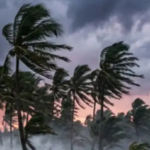 Cyclone Arnab Live: आंध्र प्रदेश के तट से टकराया चक्रवात, 150 किमी प्रति घंटे तक पहुंच सकती है हवा की रफ्तार 6 Screenshot 2026 10 28 090422