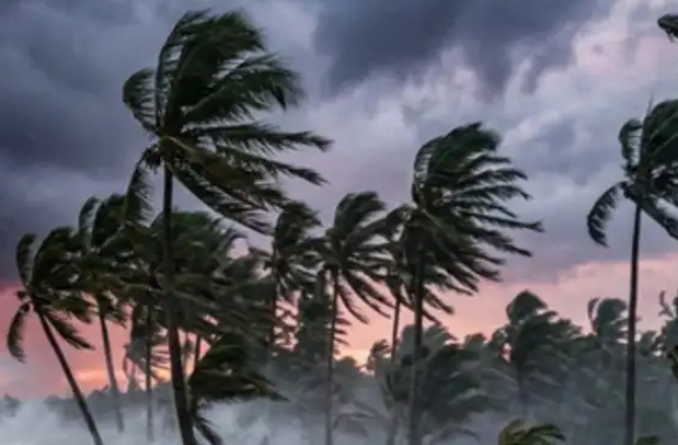 Cyclone Arnab Live: आंध्र प्रदेश के तट से टकराया चक्रवात, 150 किमी प्रति घंटे तक पहुंच सकती है हवा की रफ्तार