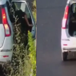 पुलिस लिखी कार में पौधा चोरी! 22 paudha chori
